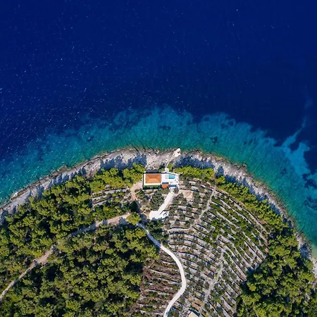 Amazing In Zukova Baćina